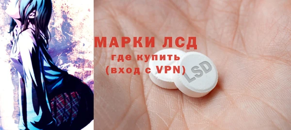 ГАЛЛЮЦИНОГЕННЫЕ ГРИБЫ Горняк