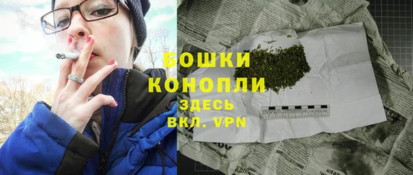 ГАЛЛЮЦИНОГЕННЫЕ ГРИБЫ Горняк